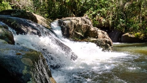 Cachoeira da Gurita no Sertão do Ribeirão, Florianópolis