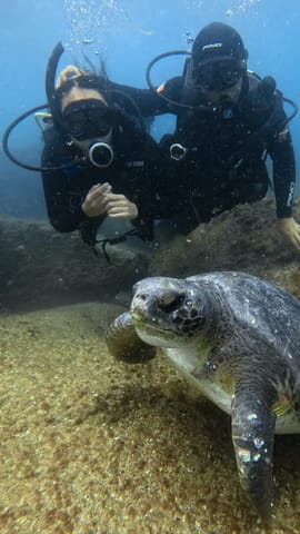 Diver next to a sea turtle at Ilha do Xavier