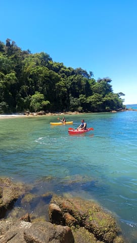 Kayaks in clear, calm water beside a forested shoreline in Florianópolis